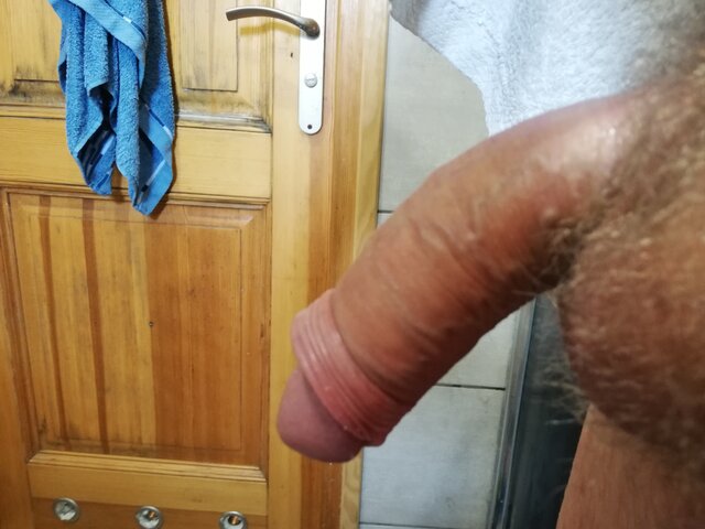Dariusz731