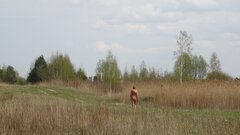 DSC03407.JPG