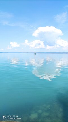 IMG_20220503_105347.jpg