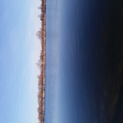 20220213_104526.jpg