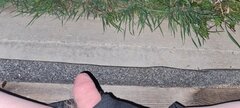 20220505_012530.jpg