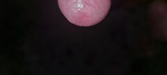 20220505_014806.jpg