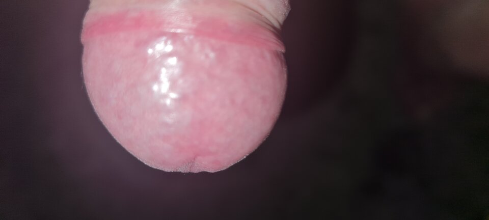 20220505_014826.jpg - sebus1
