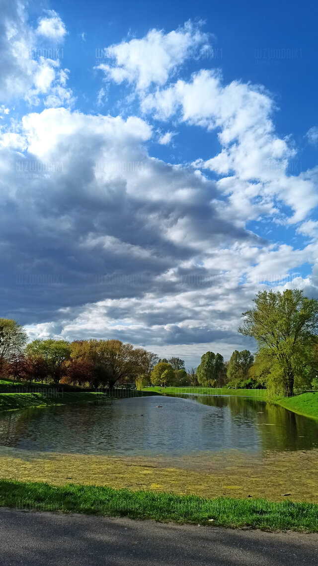 wzwodnik1