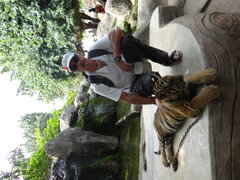 DSC01853.JPG