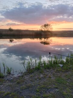 IMG_20220506_201251.jpg