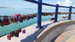 IMG_20220503_104942.jpg