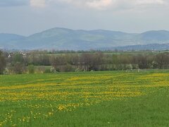 IMG_20220508_161220.jpg