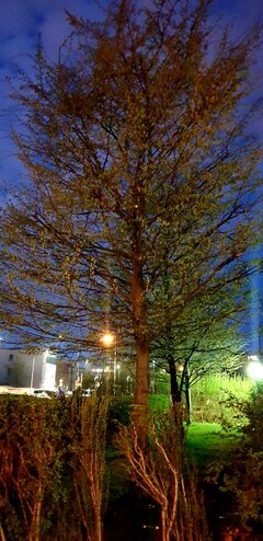 20220427_205416.jpg