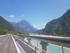 20210617_135339.jpg
