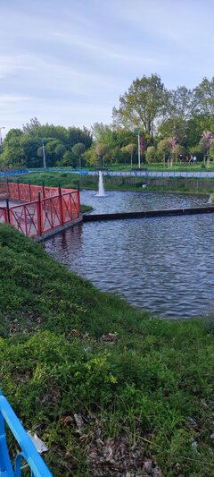 IMG_20220509_184722.jpg