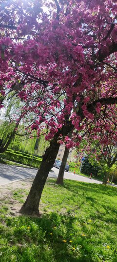 Lato w Warszawie :D