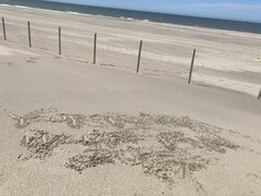 2C8A5931-16F2-48F1-AC00-38F84380BC74.jpeg