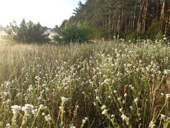 20210718_055728.jpg