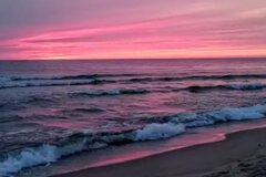 IMG_20220514_151155.jpg