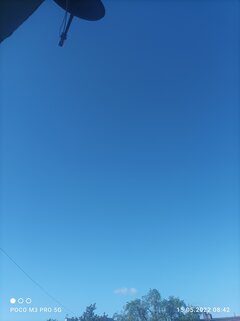 IMG_20220515_084234.jpg
