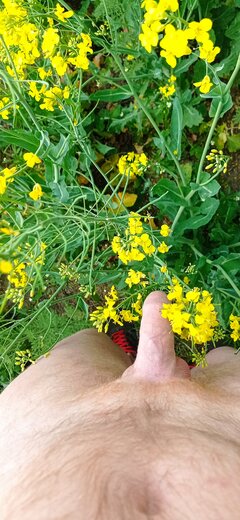 IMG_20220515_114052.jpg