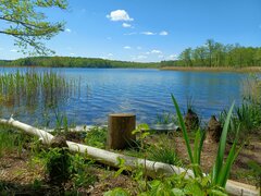 20220515_114809.jpg