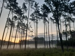 20210718_050210.jpg