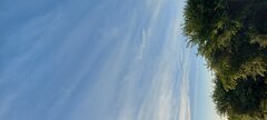 20220518_062259.jpg