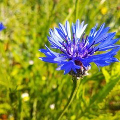 IMG_20200517_125323.jpg