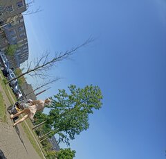IMG_20220522_113312.jpg