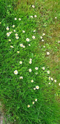 20220514_151822.jpg