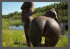 Ranczo Natura