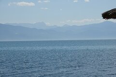 DSC00203 (3).JPG