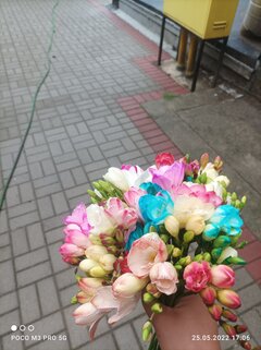IMG_20220525_170642.jpg