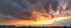 IMG_20220526_202054.jpg