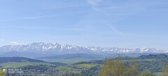 IMG_20220516_102940.jpg