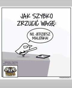 Tip