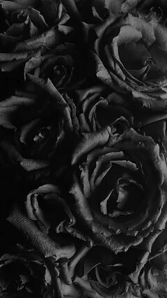 wallpaper9.jpg