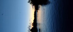 IMG_20220528_211255308.jpg