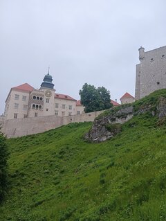 IMG_20220528_132158.jpg