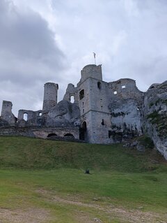 IMG_20220528_114517.jpg