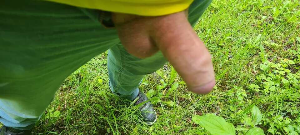 20220529_162223.jpg - sebus1