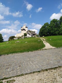 IMG_20210904_143345.jpg