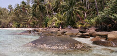 IMG_20200205_115236 (1).jpg