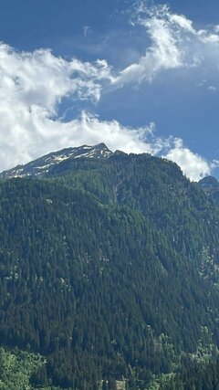 IMG_20220522_202324.jpg
