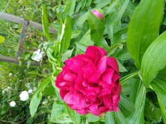 20220530_164700.jpg