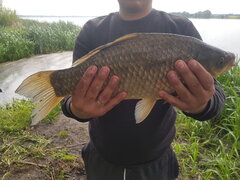 20220513_085055.jpg