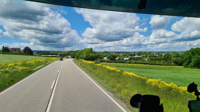 BoskiPytonek
