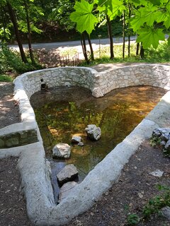 IMG_20220531_143328_1.jpg