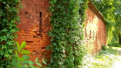 IMG-20220531