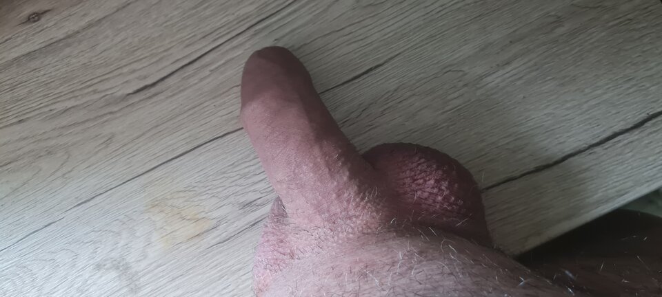 20220604_054609.jpg - sebus1