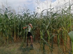 IMG_20210821_124208.jpg