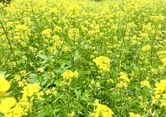 E890DF3A-B3EC-4C6F-8C20-39ABE15AC86A.jpeg