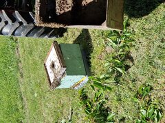 20220605_121208.jpg